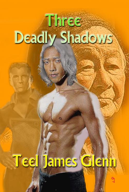Cover of the book Three Deadly Shadows by Teel James Glenn, Rob Preece