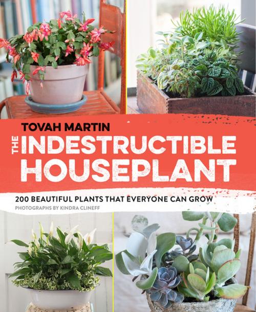 Cover of the book The Indestructible Houseplant by Tovah Martin, Timber Press
