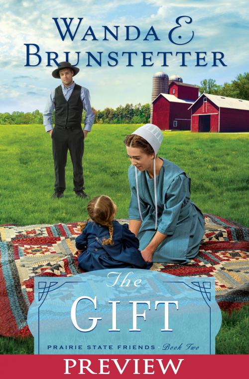 Cover of the book The Gift - Preview by Wanda E. Brunstetter, Barbour Publishing, Inc.