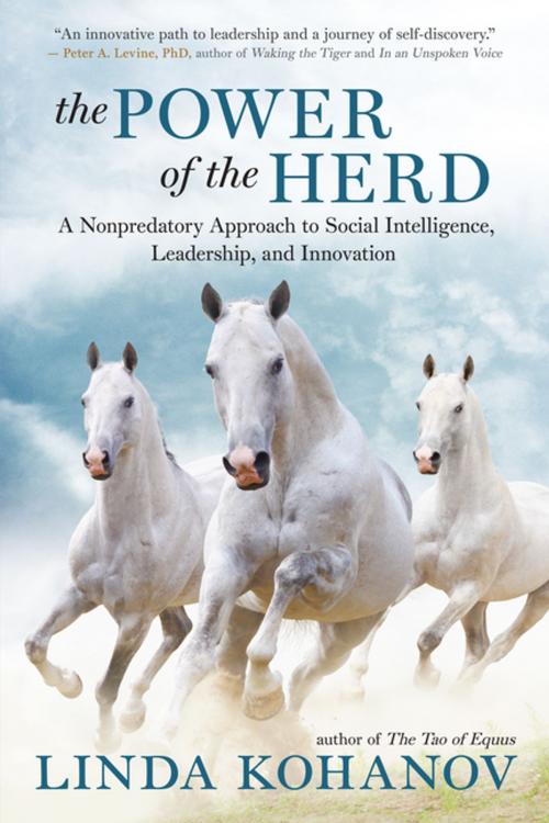 Cover of the book The Power of the Herd by Linda Kohanov, New World Library