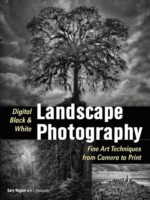 Cover of the book Digital Black & White Landscape Photography by Gary Wagner, Amherst Media