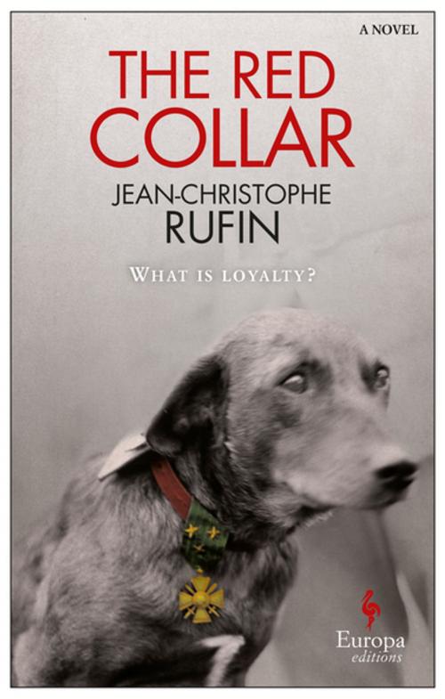 Cover of the book The Red Collar by Jean-Christophe Rufin, Europa Editions