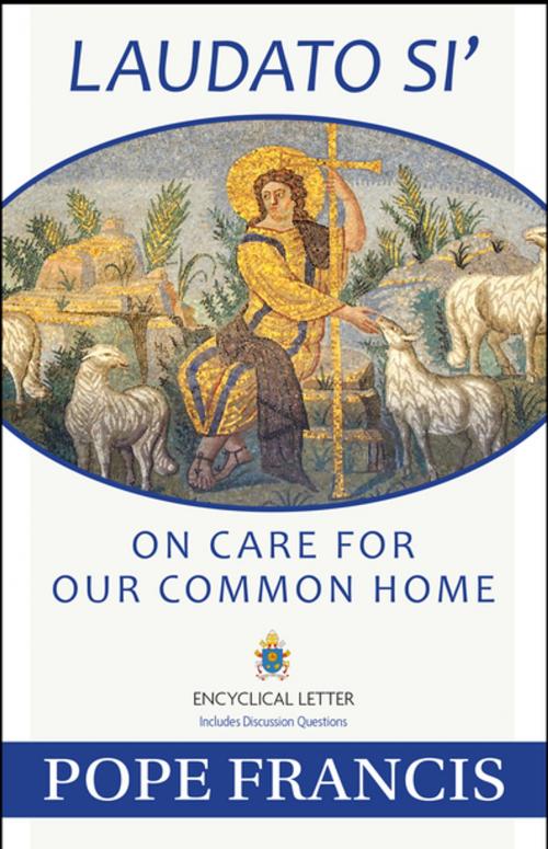 Cover of the book Laudato Si by Pope Francis, Our Sunday Visitor