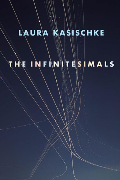 Cover of the book The Infinitesimals by Laura Kasischke, Copper Canyon Press