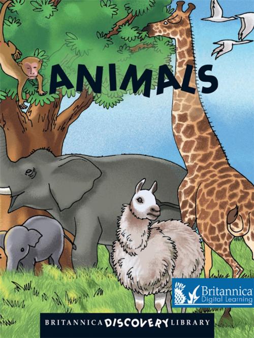 Cover of the book Animals by Britannica Digital Learning, Britannica Digital Learning