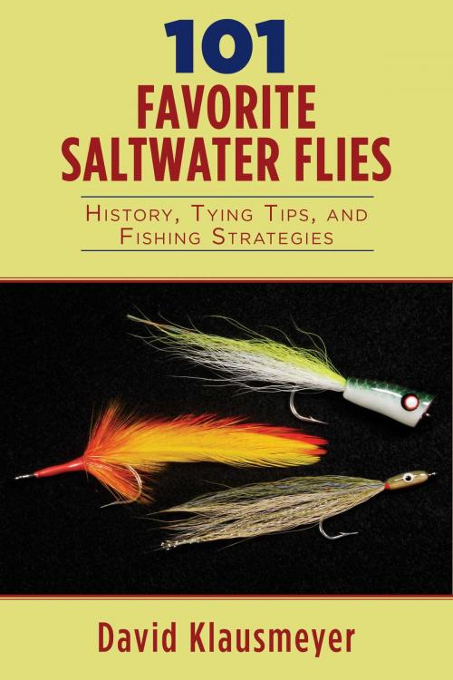 Cover of the book 101 Favorite Saltwater Flies by David Klausmeyer, Skyhorse