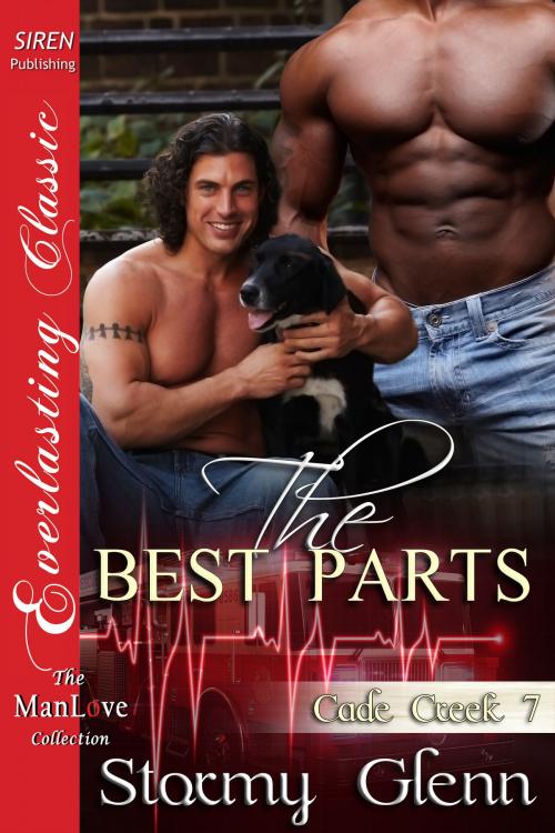Cover of the book The Best Parts by Stormy Glenn, Siren-BookStrand