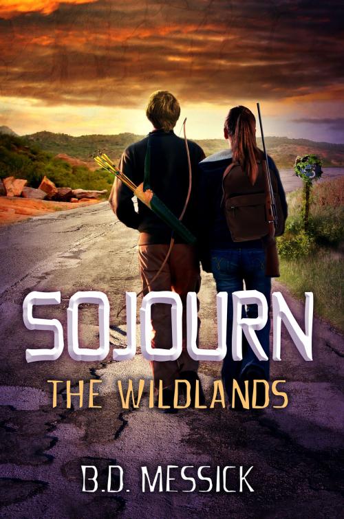 Cover of the book Sojourn: The Wildlands by B.D. Messick, Melange Books, LLC