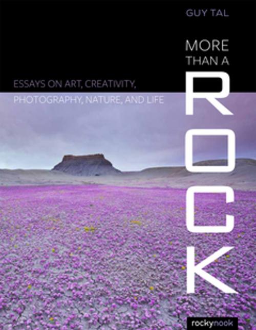 Cover of the book More Than a Rock by Guy Tal, Rocky Nook