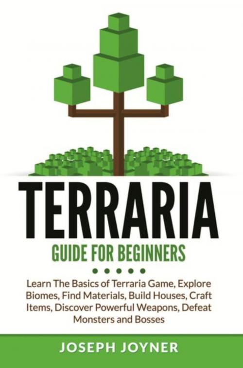 Cover of the book Terraria Guide For Beginners by Joseph Joyner, Mihails Konoplovs