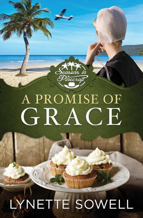 Cover of the book A Promise of Grace by Lynette Sowell, Abingdon Fiction