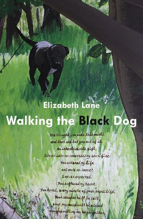 Cover of the book Walking the Black Dog by Elizabeth Lane, Ginninderra Press