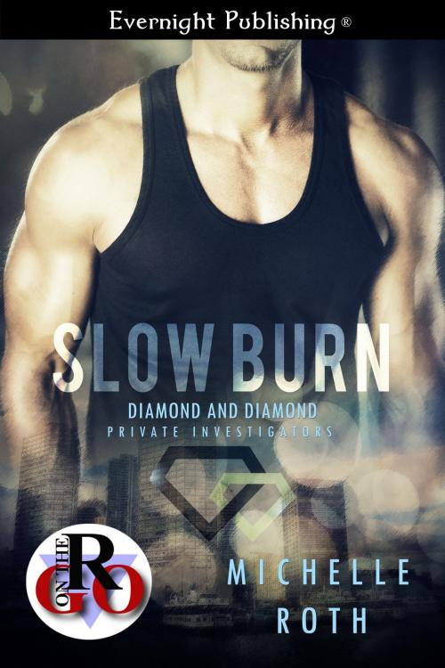 Cover of the book Slow Burn by Michelle Roth, Evernight Publishing