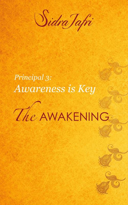 Cover of the book Awareness Is Key by Sidra Jafri, Watkins Media