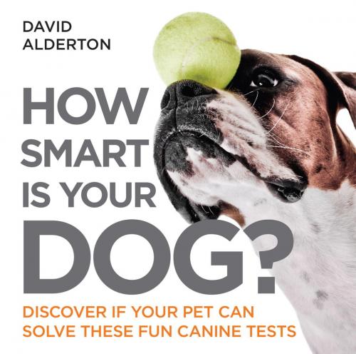 Cover of the book How Smart Is Your Dog? by David Alderton, Quercus Publishing