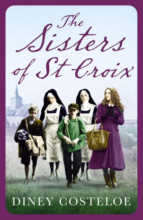 Cover of the book The Sisters of St Croix by Diney Costeloe, Head of Zeus