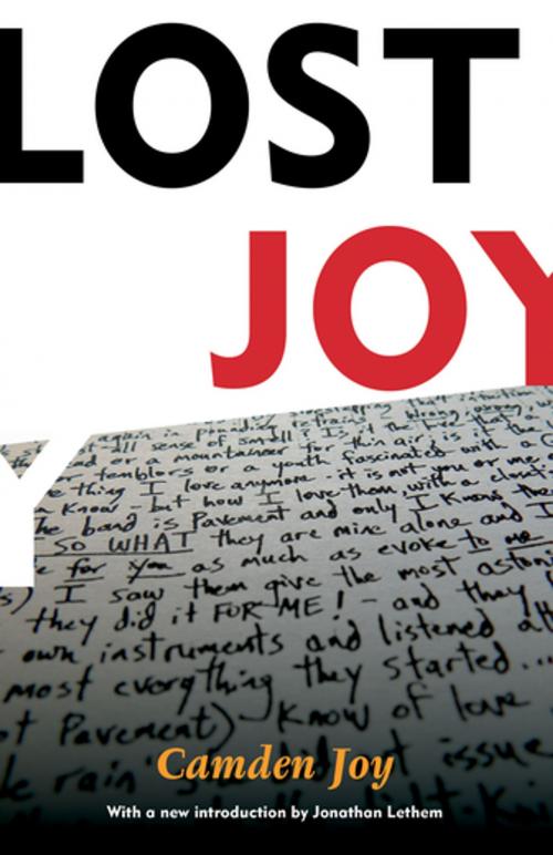 Cover of the book Lost Joy by Camden Joy, Verse Chorus Press