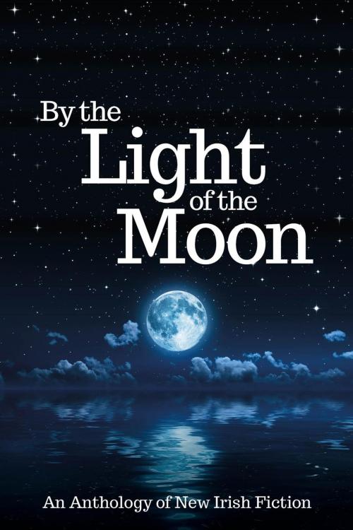 Cover of the book By the Light of the Moon: An Anthology by R. A. Barnes, Maura Barrett, Jeanne Beary, Ilona Blunden, Phyllida Clarke, Eileen Condon, Nora Farrell, Majella Gorman, Pat Griffin, Mary Healy, Orla Hennessy, Stella Lanigan, Rachel Nolan, Valerie Ryan, Marble City Publishing