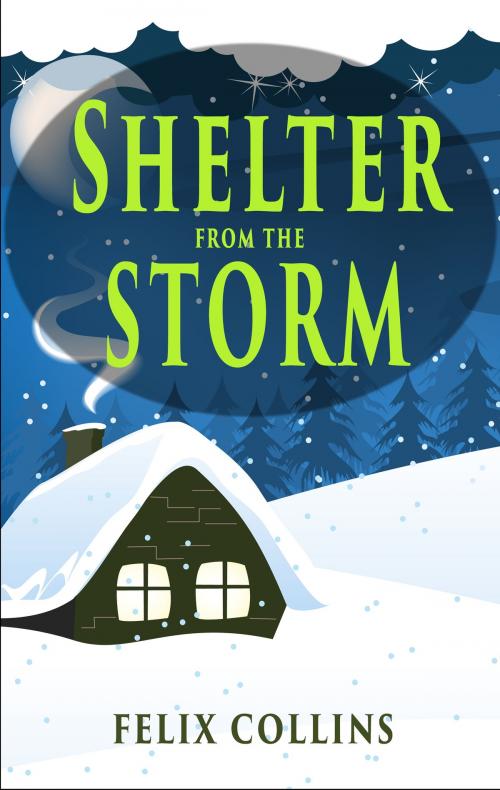 Cover of the book Shelter from the Storm by Felix Collins, Felix Collins