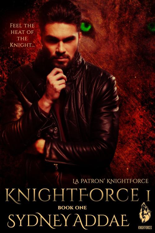 Cover of the book KnightForce One by Sydney Addae, Sitting Bull Publications, LLC