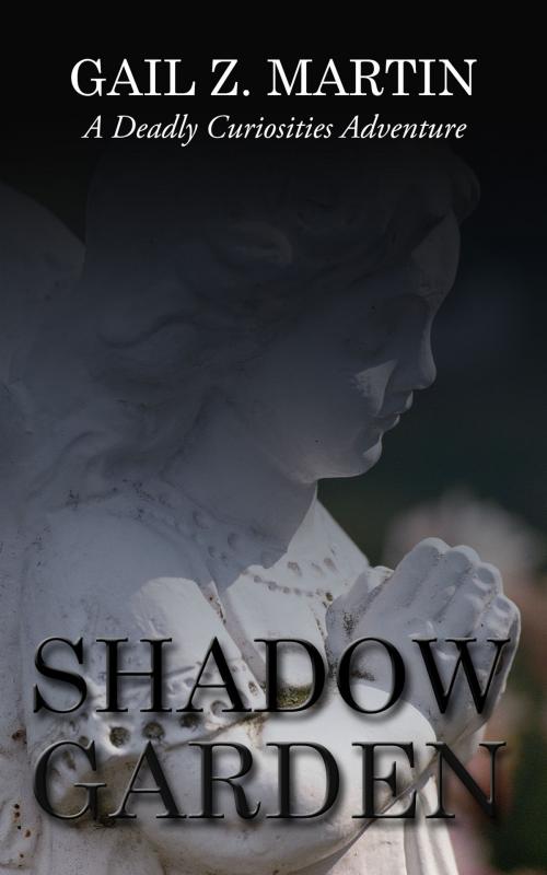 Cover of the book Shadow Garden by Gail Z. Martin, DreamSpinner Communications