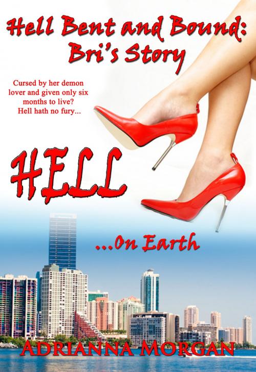 Cover of the book Hell on Earth by Adrianna Morgan, Androsia Publishing LLC