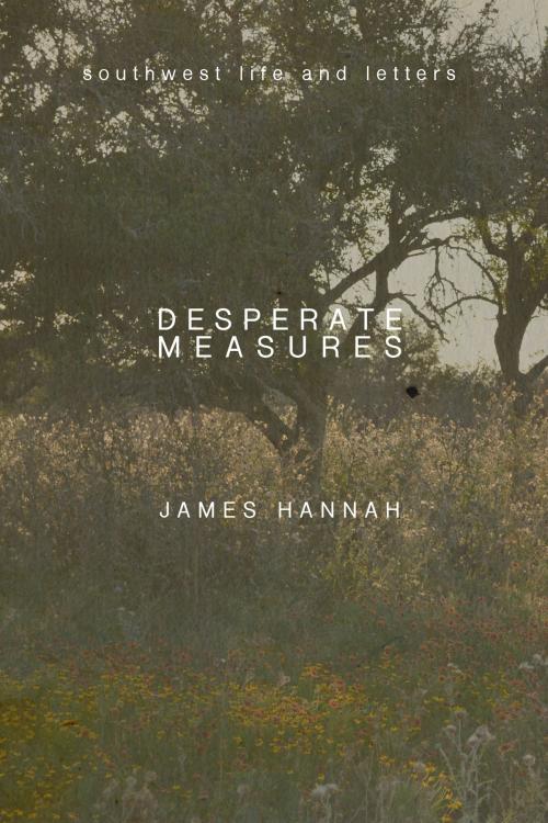 Cover of the book Desperate Measures by James Hannah, Dzanc Books