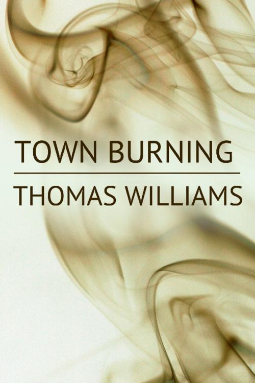 Cover of the book Town Burning by Thomas Williams, Dzanc Books