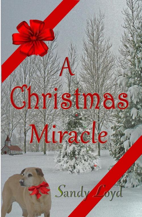 Cover of the book A Christmas Miracle by Sandy Loyd, Sandy Loyd