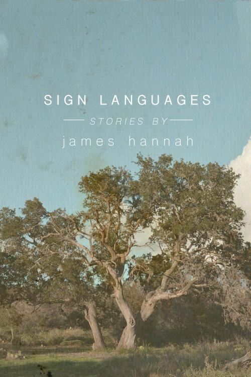 Cover of the book Sign Languages by James Hannah, Dzanc Books
