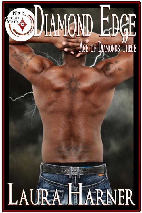 Cover of the book Diamond Edge by Laura Harner, Laura Harner