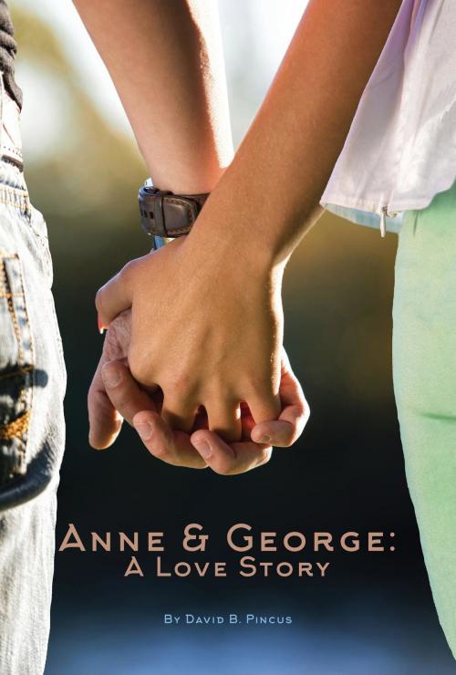 Cover of the book Anne And George by David B. Pincus, Green Ivy