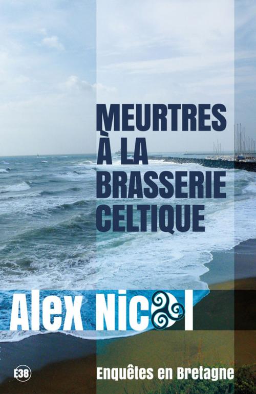 Cover of the book Meurtres à la brasserie celtique by Alex Nicol, Les éditions du 38