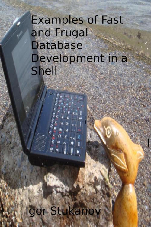 Cover of the book Examples of Fast and Frugal Database Development in a Shell by Igor Stukanov, Osmora Inc.