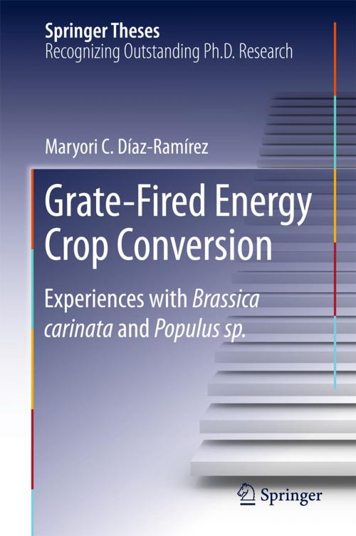 Cover of the book Grate-Fired Energy Crop Conversion by Maryori C. Díaz-Ramírez, Springer International Publishing