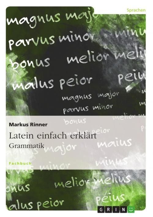 Cover of the book Latein einfach erklärt: Grammatik by Markus Rinner, GRIN Verlag