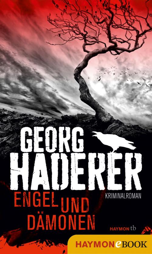 Cover of the book Engel und Dämonen by Georg Haderer, Haymon Verlag