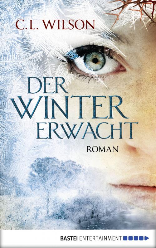 Cover of the book Der Winter erwacht by C. L. Wilson, Bastei Entertainment