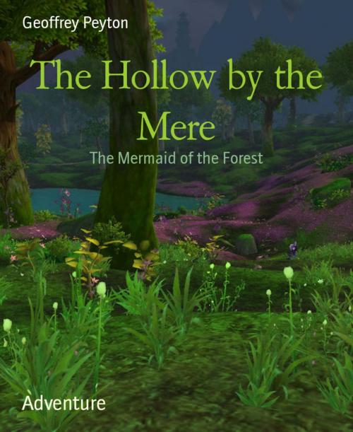 Cover of the book The Hollow by the Mere by Geoffrey Peyton, BookRix
