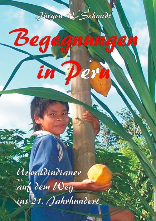 Cover of the book Begegnungen in Peru by Jürgen H. Schmidt, Books on Demand