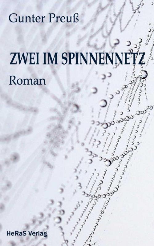 Cover of the book Zwei im Spinnennetz by Gunter Preuß, neobooks