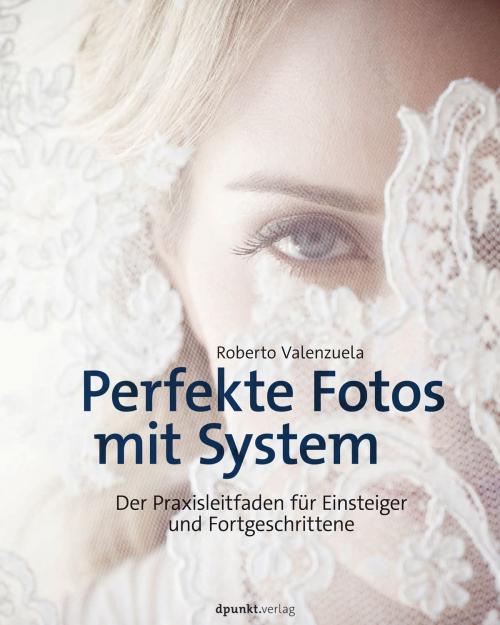 Cover of the book Perfekte Fotos mit System by Roberto Valenzuela, dpunkt.verlag