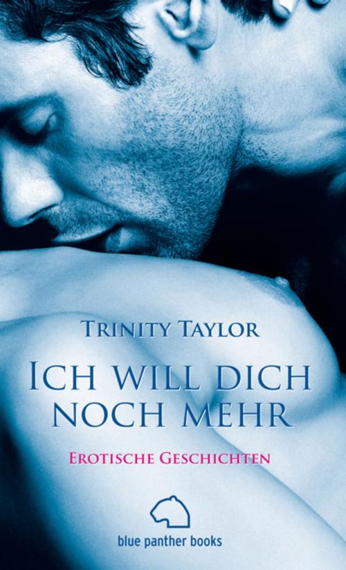 Cover of the book Ich will dich noch mehr | Erotische Geschichten by Trinity Taylor, blue panther books