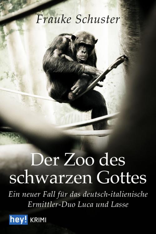 Cover of the book Der Zoo des schwarzen Gottes by Frauke Schuster, hey! publishing