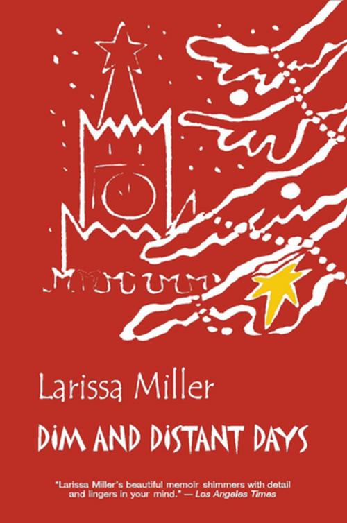 Cover of the book Dim and Distant Days by Larissa Miller, Glas