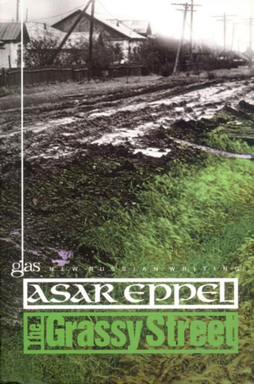 Cover of the book The Grassy Street by Asar Eppel, Glas