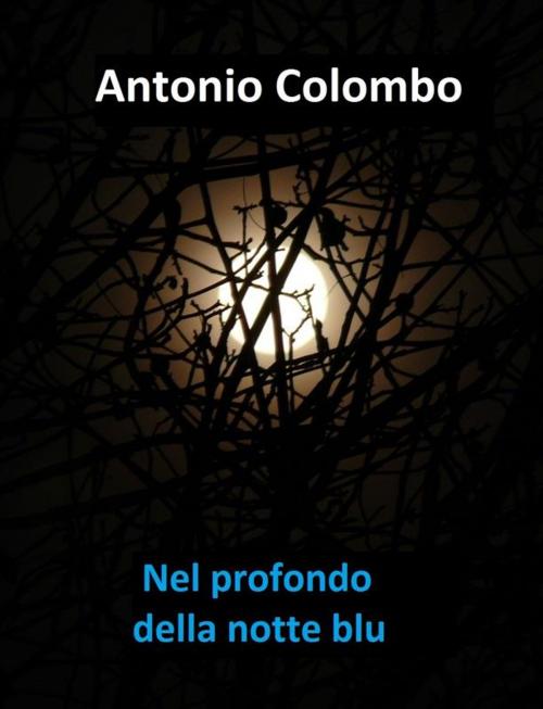 Cover of the book Nel profondo della notte blu by Antonio Colombo, Antonio Colombo