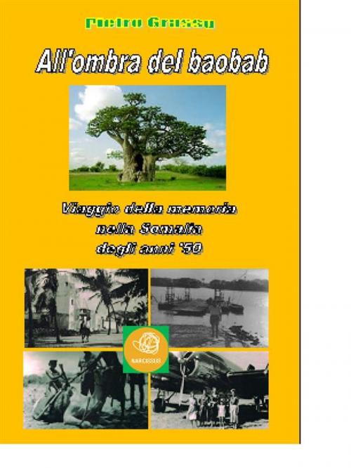 Cover of the book All'ombra del baobab by Pietro Grasso, Pietro Grasso