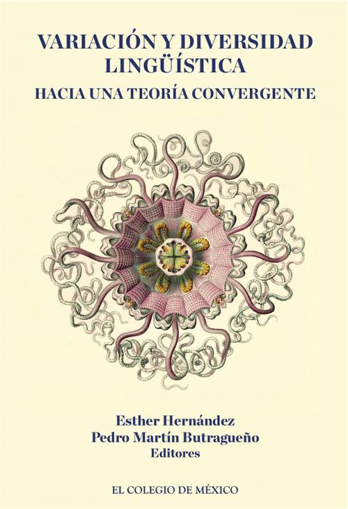 Cover of the book Variación y diversidad lingüística: by , El Colegio de México