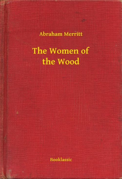 Cover of the book The Women of the Wood by Abraham Merritt, Booklassic
